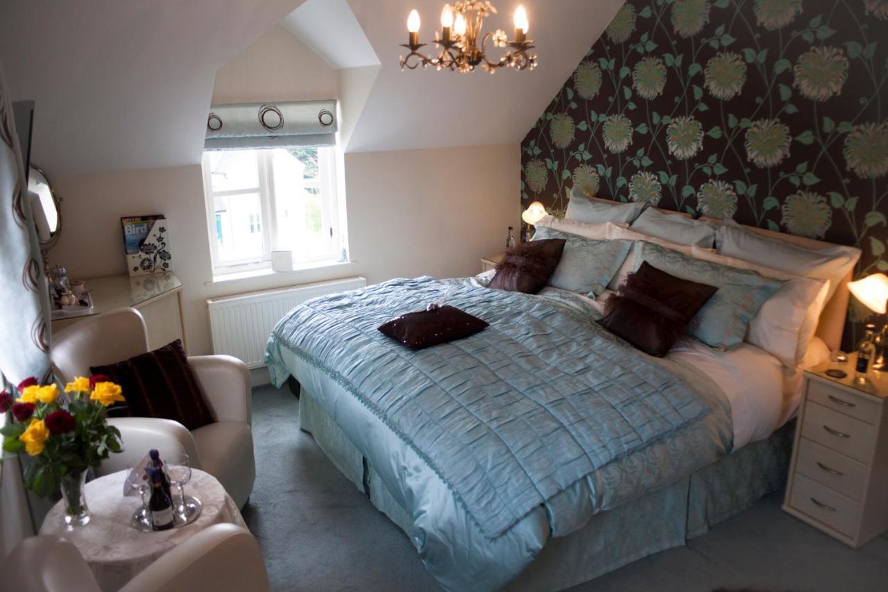 Dinas  Y Garth Luxury Bed And Breakfast المظهر الخارجي الصورة